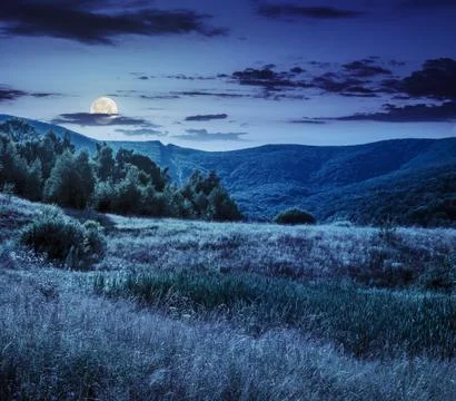 village on hillside meadow with forest in mountain Free Photo