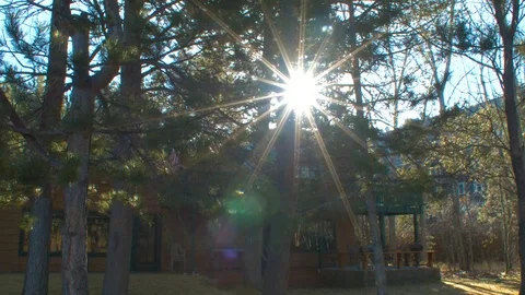 Forest Home Stock Footage 86171002