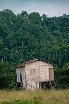 Forest home Foto stock