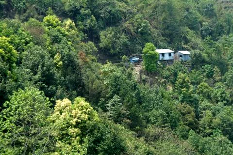 Forest Homes Stock Photos
