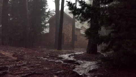 Forest house 2 Video stock 172239086