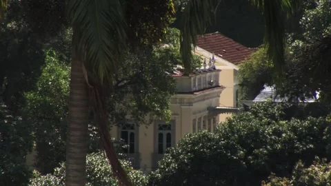 Forest house Stock Footage 315791532