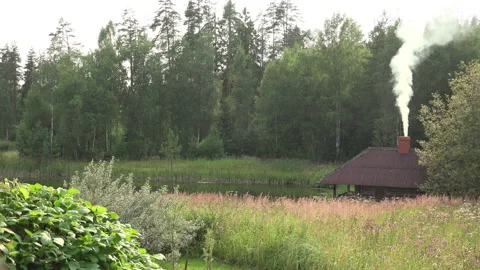 Forest House or Sauna in the wilderness Stock Footage 239653853
