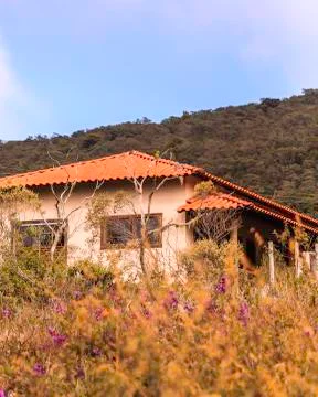 The forest house Stock Photos