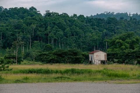 Forest house Foto stock