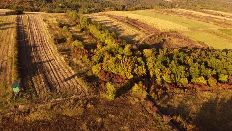 Forest hunting ground with hideout, drone panoramic shot Stock Footage 162075484