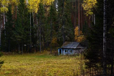 Forest hut Foto stock