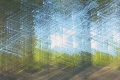 Forest ICM. Stock Photos