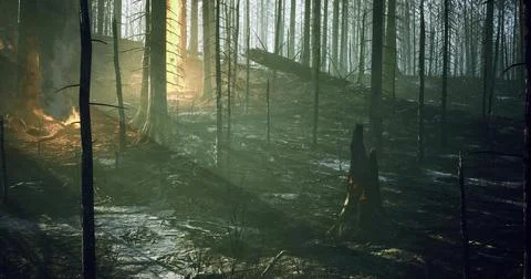 Forest illuminated by sunlight breaking through burned tree trunks at dawn Stock Illustration