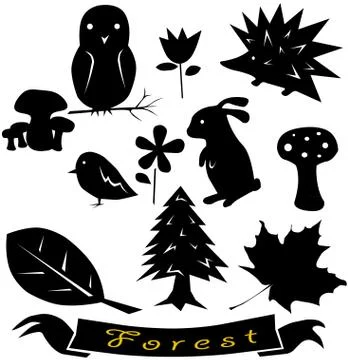 Forest 库存插图