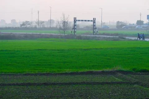 Forest image Stockfoto's