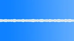 Forest Insects, Birds Loop Sound Effect