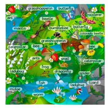 Forest insects with inscriptions Stock Illustration