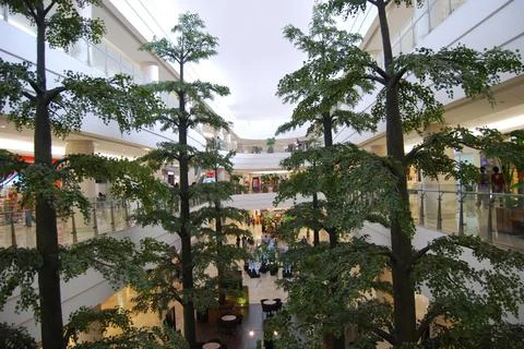Forest inside the building Foto stock