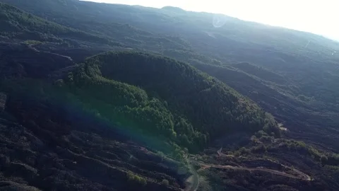 A forest inside a volcanic crater on Etna Stock-Footage 168324327