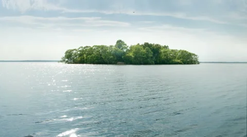 Forest island Stock Footage 50584676