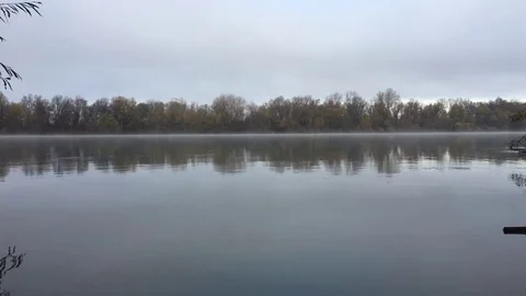 Forest on the island in large river. river Danube island Stock Footage 80564068