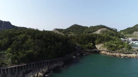  forest in the island on ocean Video stock 303884638