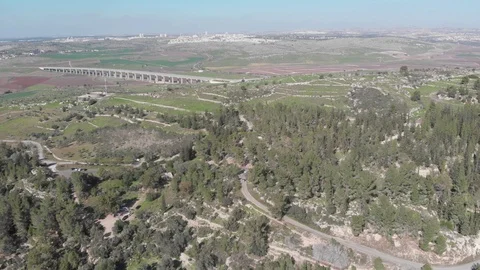 Forest in Israel. Stock Footage 106619631