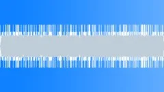 Forest jungle atmos bird singing buzzingSound Effect
