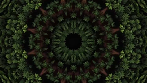 Forest Kaleidoscope. Hypnotic motion. 4K Stock Footage 255650177
