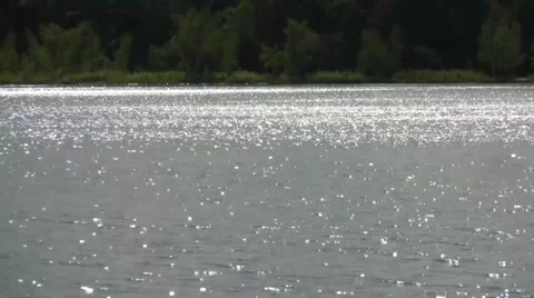 Forest Lake 2 Stock Footage 5903166