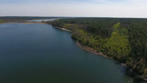 Forest by the lake. Aerial view Stock Footage 74594625