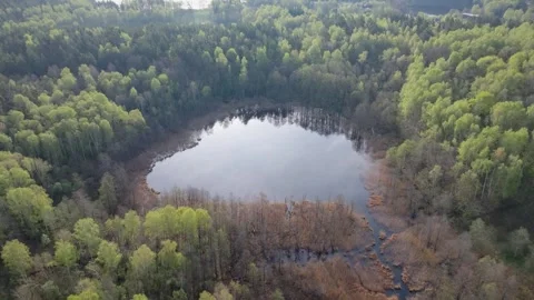 Forest lake, aerial view, surrounded by woods, green, small, round, wild pond Stock Footage 307310480