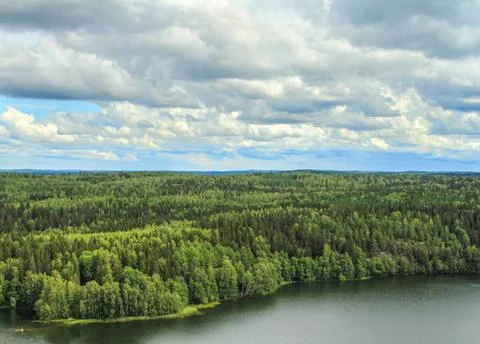 Forest, lake and clouds Stock Photos
