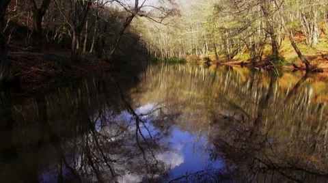 Forest lake in autumn Stock Footage 69057794
