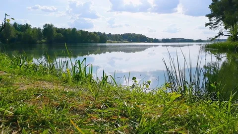 Forest lake in autumn Stock Footage 116089116