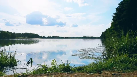 Forest lake in autumn Stock Footage 116090910