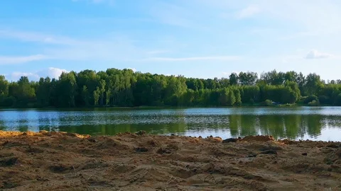 Forest lake in autumn Stock Footage 116090957