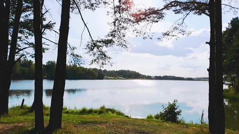 Forest lake in autumn Stock Footage 116091062