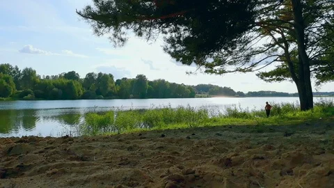 Forest lake in autumn Stock Footage 116091154