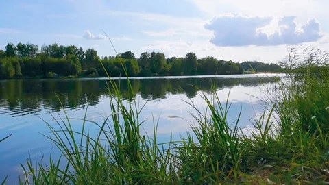 Forest lake in autumn Stock Footage 116091648