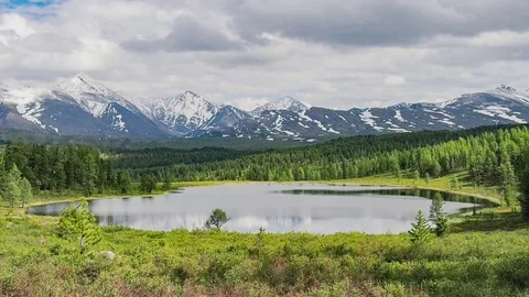 Forest lake. In the background the snow-capped mountains. Stock Footage 77722731