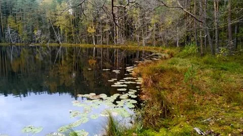 Forest lake with clouds reflecting in it. Calm autumn landscape Stock Photos