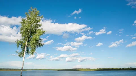 Forest lake. Cloudy landscape. Stock Footage 61358871