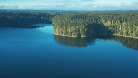 Forest lake covered with trees, sunset aerial view, blue still water Stock Footage 287100879