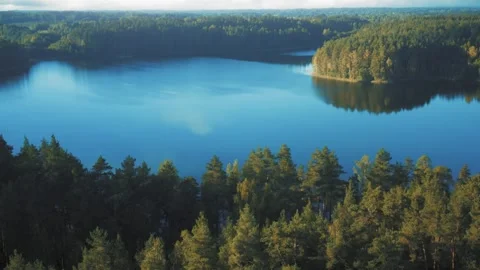 Forest lake covered with trees, sunset aerial view, blue still water Stock Footage 287100914