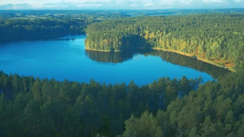 Forest lake covered with trees, sunset aerial view, blue still water Video stock 287101219