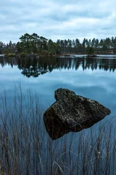 Forest lake in fall Stock Photos