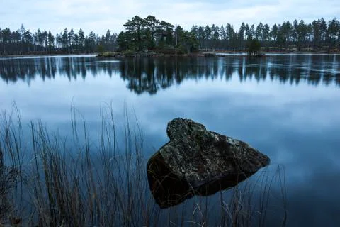 Forest lake in fall Foto stock