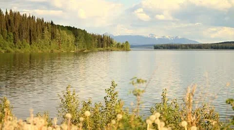 Forest lake Stock Footage 10749714