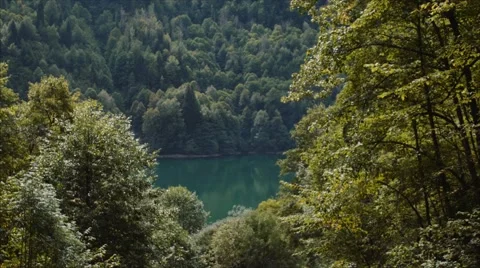 Forest Lake Stock Footage 68018858