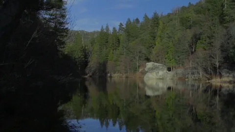 Forest Lake 動画素材 75259730