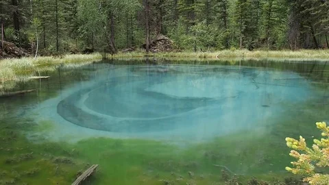 Forest lake. Stock Footage 78996308