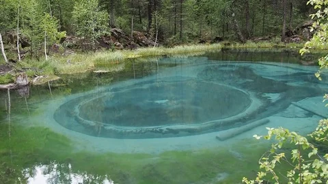 Forest lake. Stock Footage 78996800