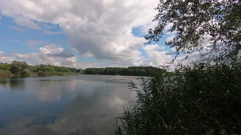 Forest Lake. Stock Footage 136546911